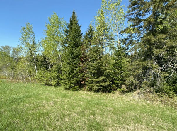 4-31 Caribou Road, Cyr Plt, ME 04785