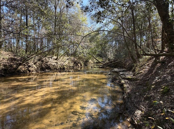 0 Taylor Mill Road, Elba, AL 36323