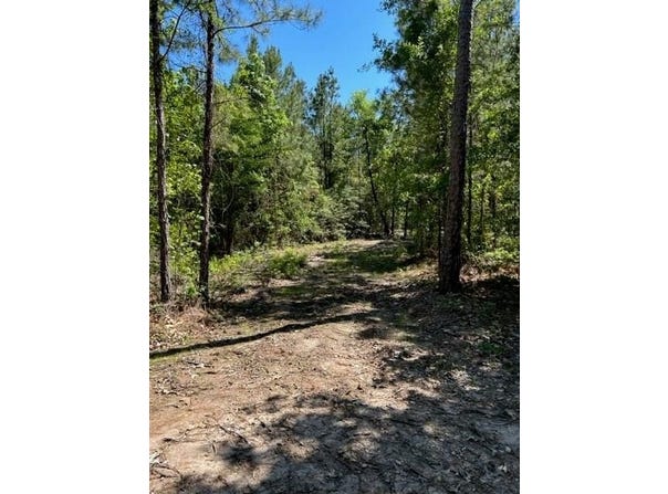 39-B FM 1751, Broaddus, TX 75929