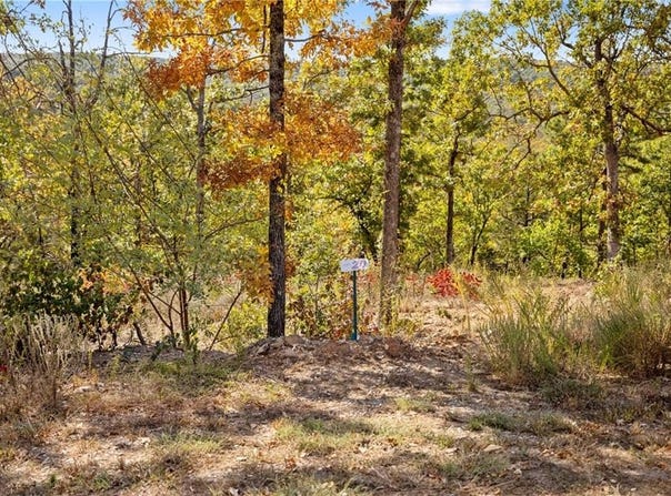 Lot 20 Restore Ridge, Harrison, AR 72601