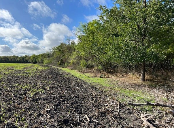 Tbd CR 117 Road, Rogers, TX 76569