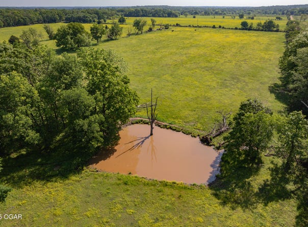 Tbd Cowskin Road, Southwest City, MO 64863