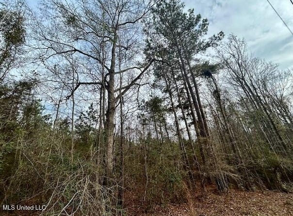 SE Lee Drive, Bogue Chitto, MS 39629