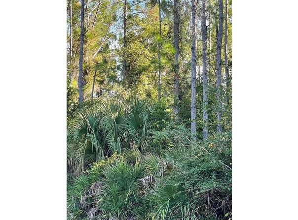 OLD TRAIN ROAD, DELTONA, FL 32738