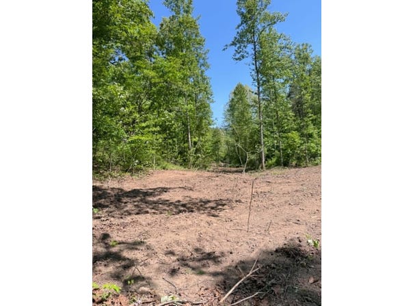 Ky-706 Road, Sandy Hook, KY 41171