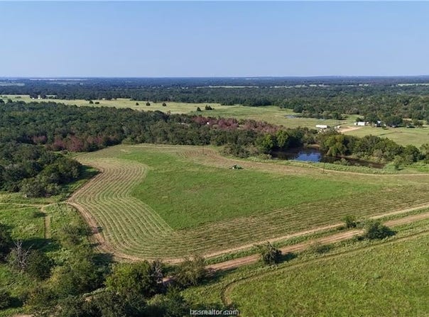3871 Webb Cemetery Rd (+/- 53.738 ac), Calvert, TX 77837-8106