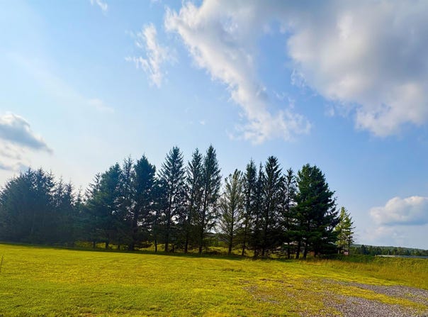 Penny Lane lot: 48, Davis, WV 26260