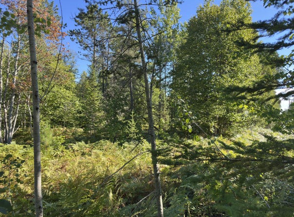 15796 N Whitefish Point Rd, Paradise, MI 49768