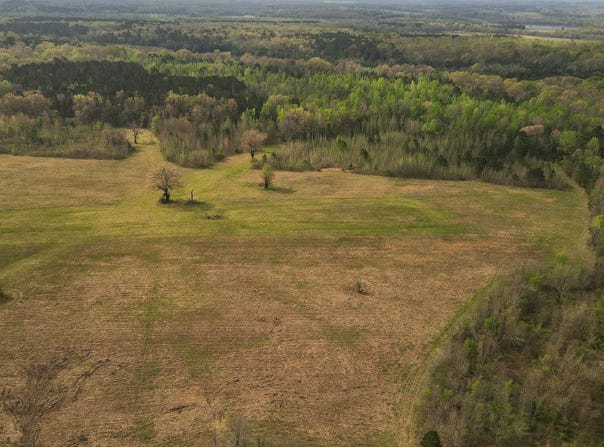Hempstead 314 Road, Ozan, AR 71855