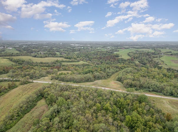 91.46 Conrad Lane, Williamstown, KY 41097