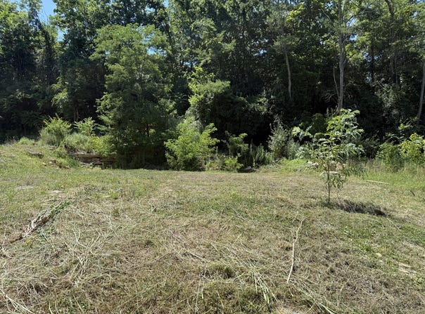 5274 Dodsworth Lane, Cold Spring, KY 41076