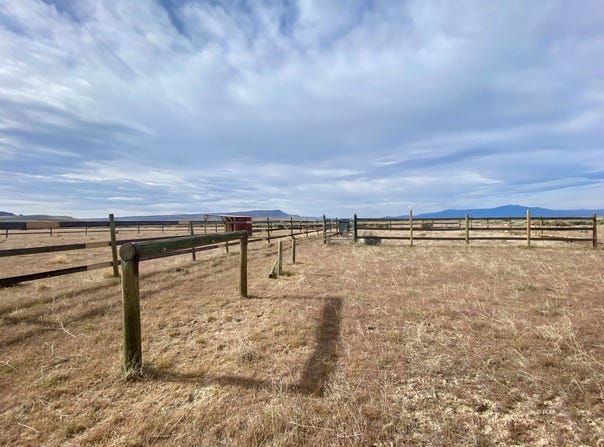 Izzenhood Ranch/ Gap Road, Battle Mountain, NV 89820