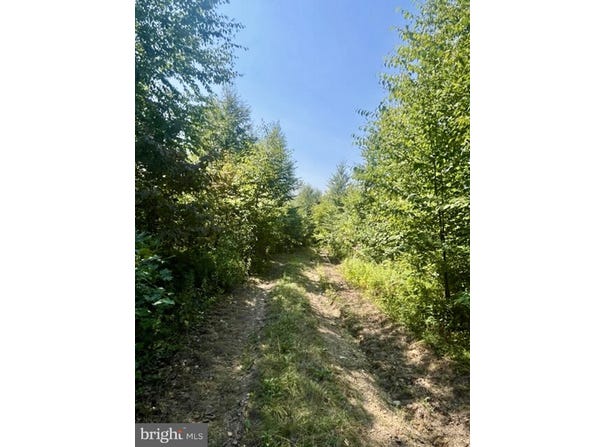 25 BEECH CREEK MOUNTAIN ROAD, BEECH CREEK, PA 16822