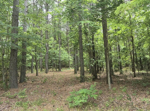 0 Raulston Falls Road, Jasper, TN 37347