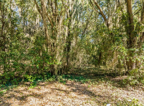 Lot 13 Mallard Drive, Barnwell, SC 29812
