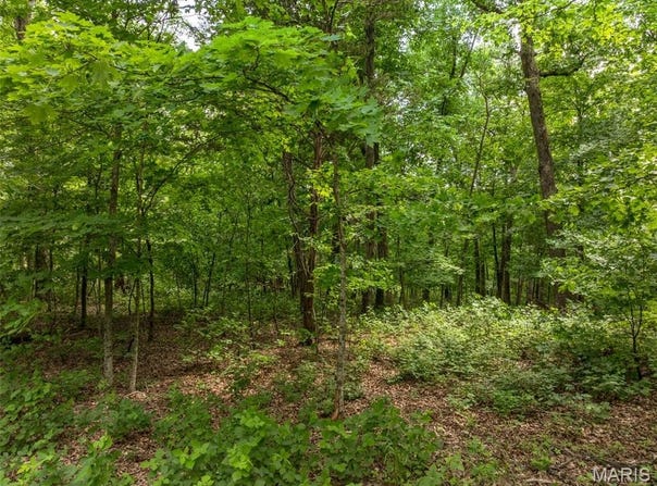 2528 Alpine Trails Drive, Innsbrook, MO 63390