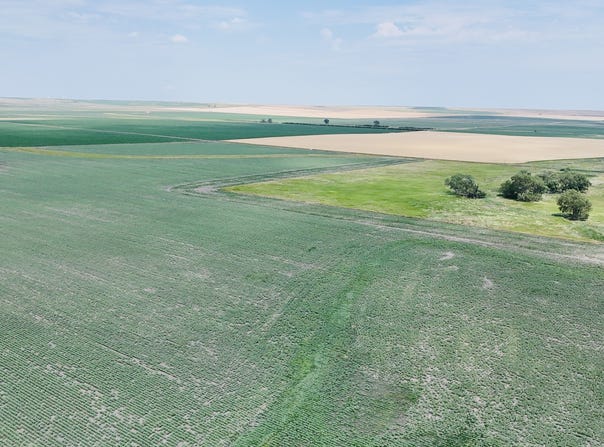 TBD 303 Ave, Presho, SD 57568