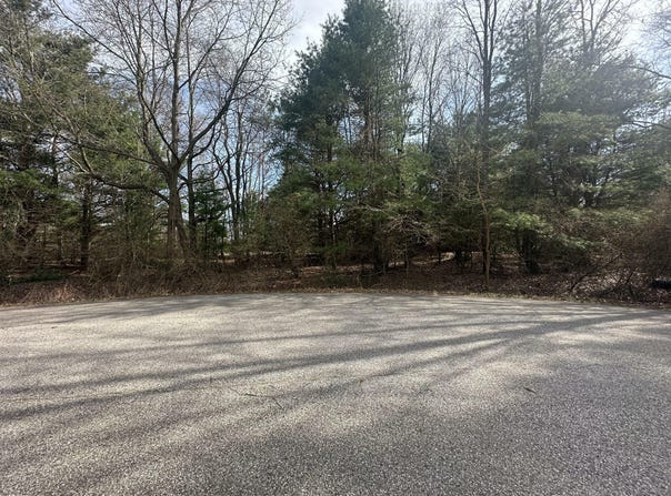 V/L-4 WHITE PINE DRIVE, HART, MI 49420