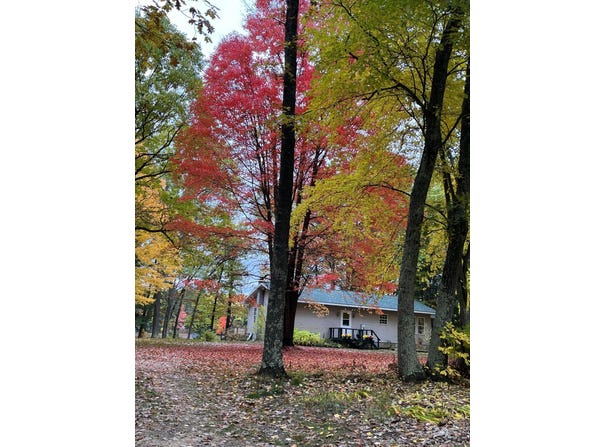 17924 Round Lake Road, Wellston, MI 49689