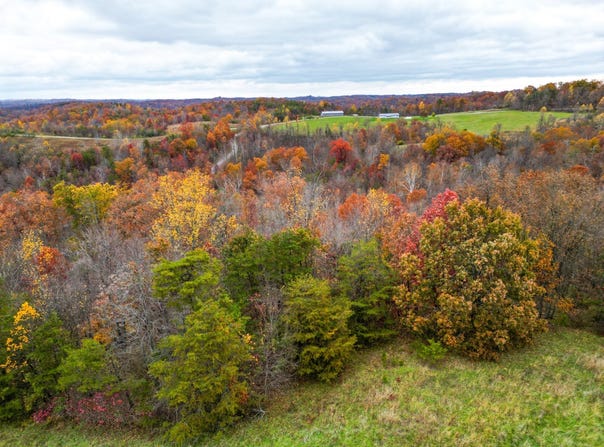 4754 County Road 36, Chesapeake, OH 45619