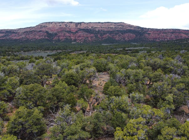 TBD County Road 95, Dinosaur, CO 81610