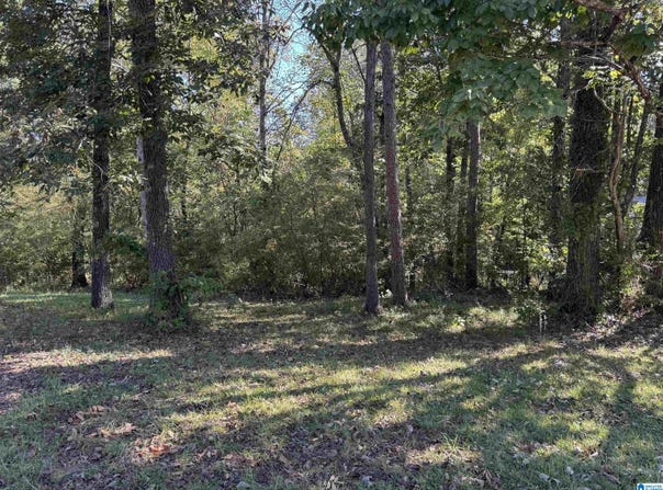 2175 CREEKVIEW LANE lot: 52, IRONDALE, AL 35210
