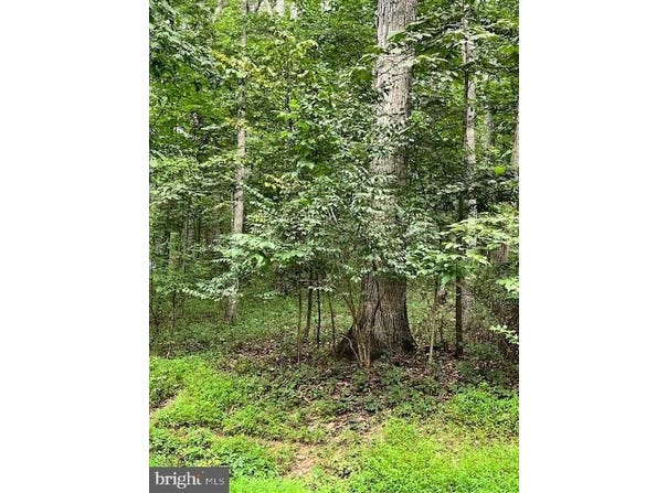 BAUMGARDNER RD S, KEYMAR, MD 21757