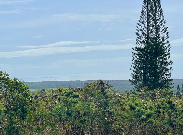 HEKAU ST, Naalehu, HI 96772
