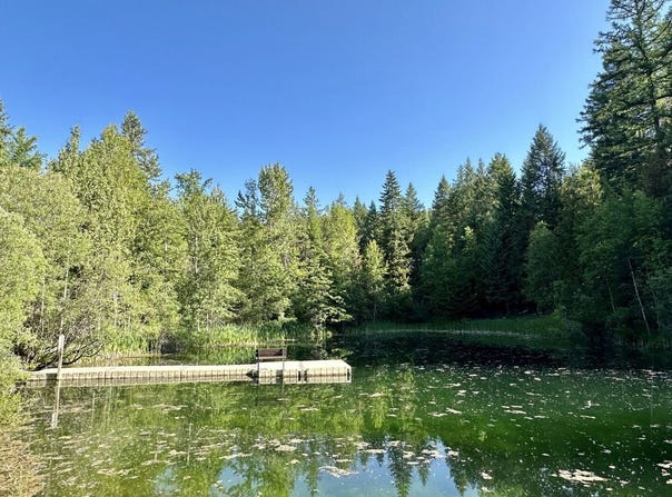 45 Alder Way, Whitefish, MT 59937