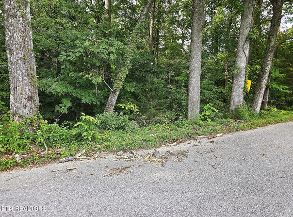 0 Victory Cross Rd, LaFollette, TN 37766