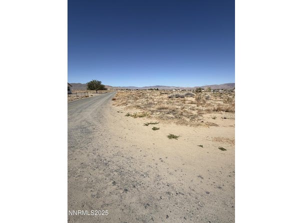 Tamarack Street, Silver Springs, NV 89429