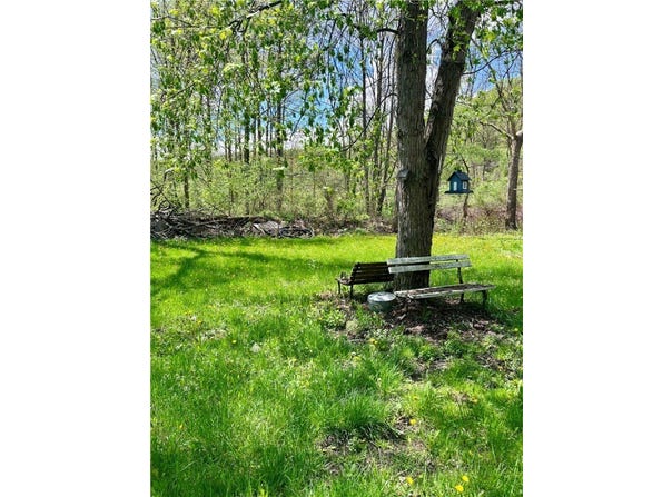 35 Burch Hill, Veteran, NY 14864