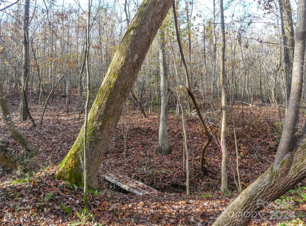 Stateline Road, Mooresboro, NC 28114