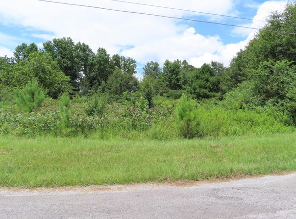 GERMAN Rd, Nauvoo, AL 35578