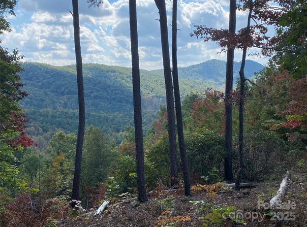 61 Scenic Vista Drive 238, Nebo, NC 28761