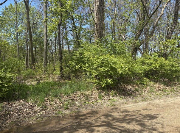 530 Rembert Court, Benton Harbor, MI 49022