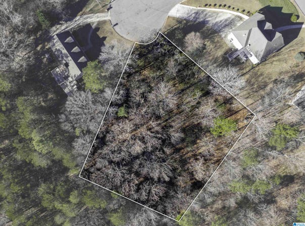 1005 TIMBERLINE TRAIL lot: 17, BIRMINGHAM, AL 35215
