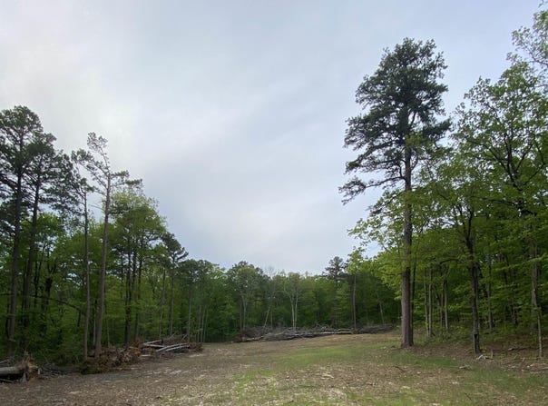 952 Wildwood Lane, Marshall, AR 72650