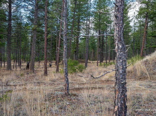 Dropping Draw lot: 56, Eureka, MT 59917