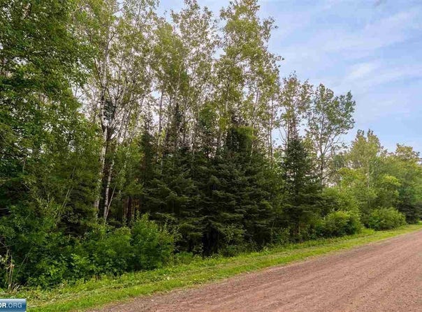 XX Torma Rd., Esko, MN 55733