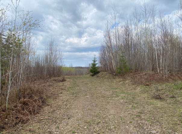NEAR WILSON LAKE RD, Phillips, WI 54555
