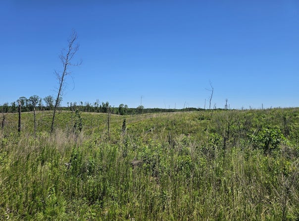 000 Pea Ridge Rd, Waterloo, AL 35677