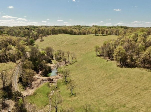 79.50 ac. (+/-) Crochet Road, Marshall, AR 72650