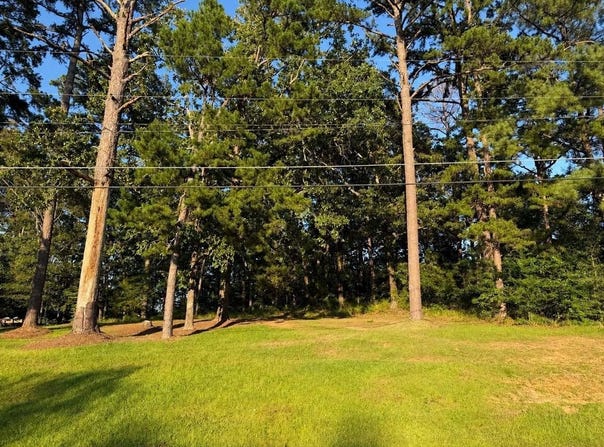 Hwy 12 & Woodland Drive, Kosciusko, MS 39090