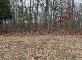 Buckeye Lane, Crawford, TN 38554