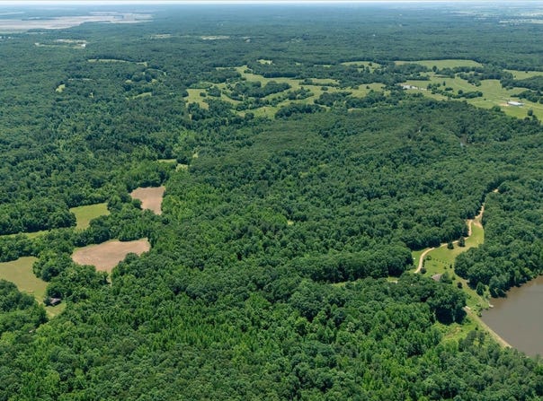 29 Acres County Road 303, Cherry Valley, AR 72324