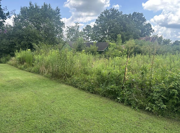459 S Walnut Street, Whitwell, TN 37397