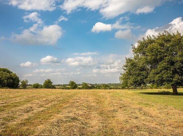 2300 Mcnelly Lane, Burton, TX 77835