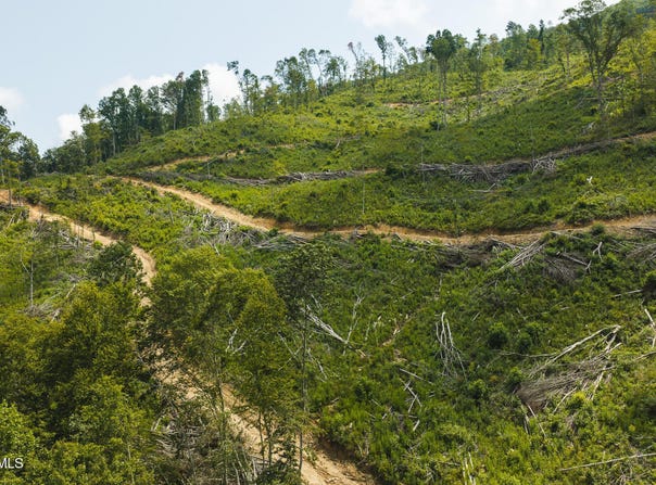 Snake Hollow Road, Sneedville, TN 37869