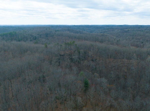 0 South Fork, Stanton, KY 40380